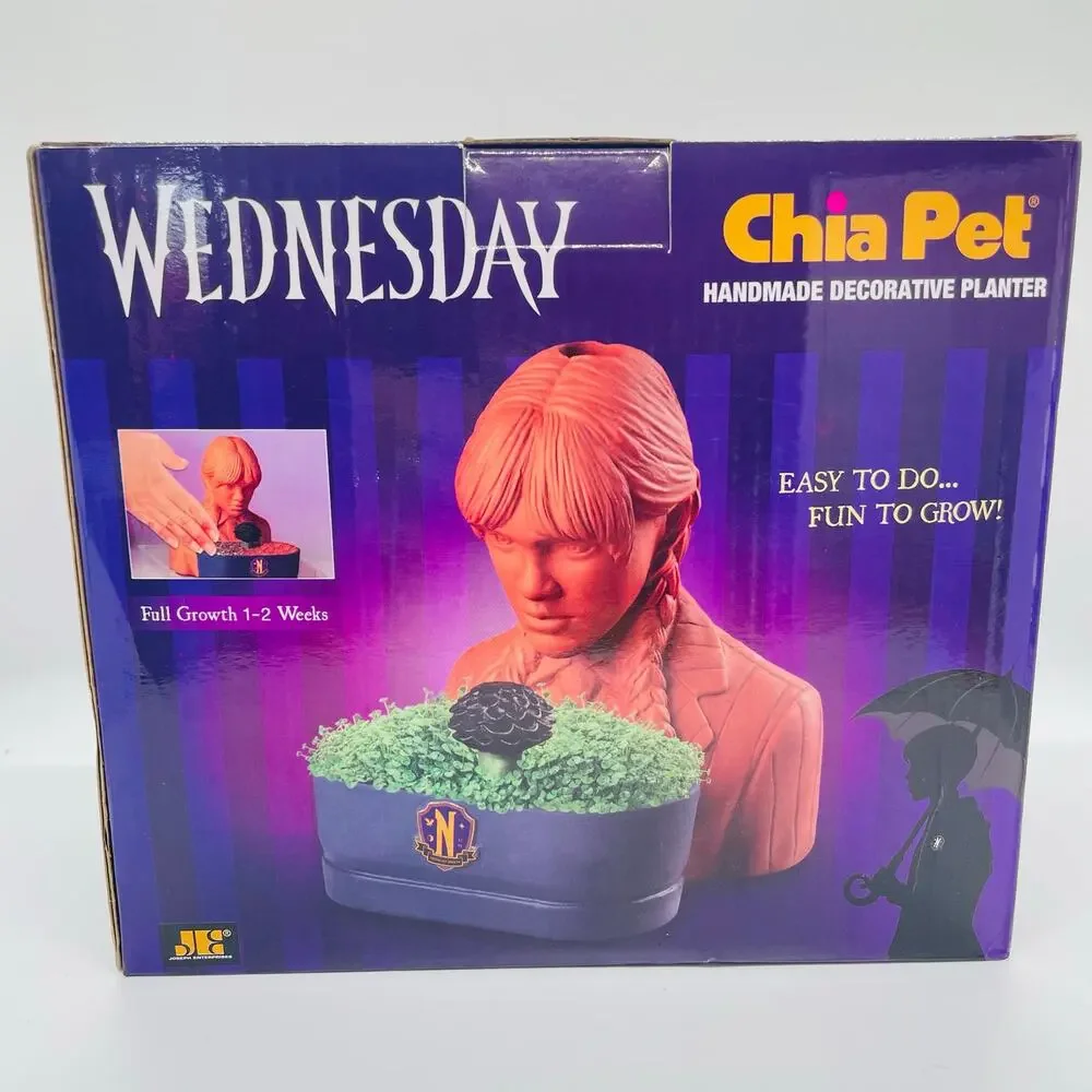 Chia Pet Wednesday Decorative Pottery Planter Addam’s Family NIB